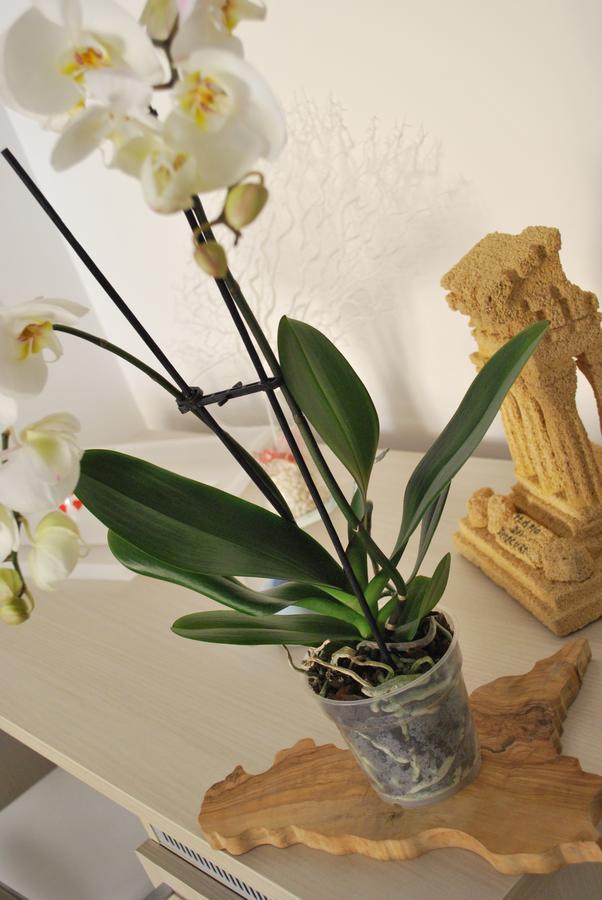 B&B Mare E Templi Agrigento Luaran gambar